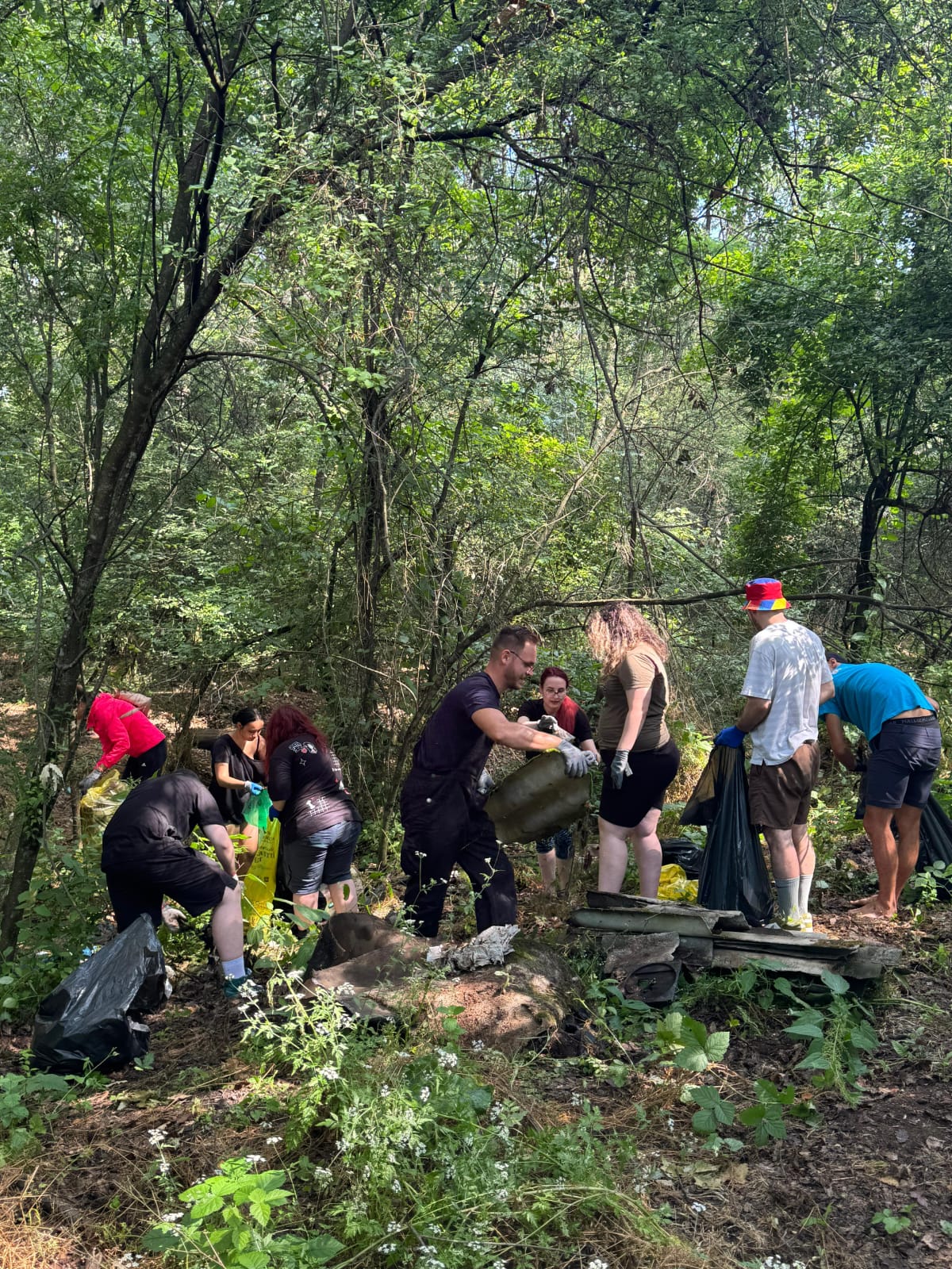 Voluntari strângând deșeuri în pădure