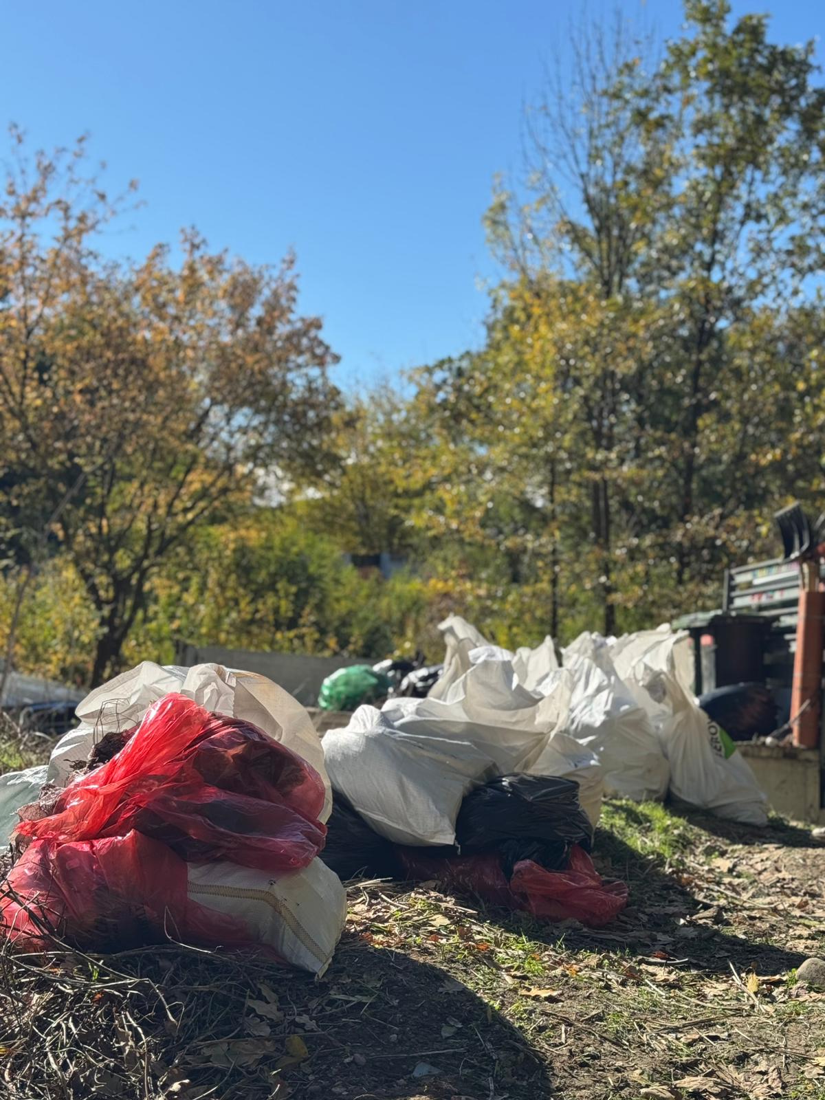 Sacii cu deșeuri colectați la Episodul 3