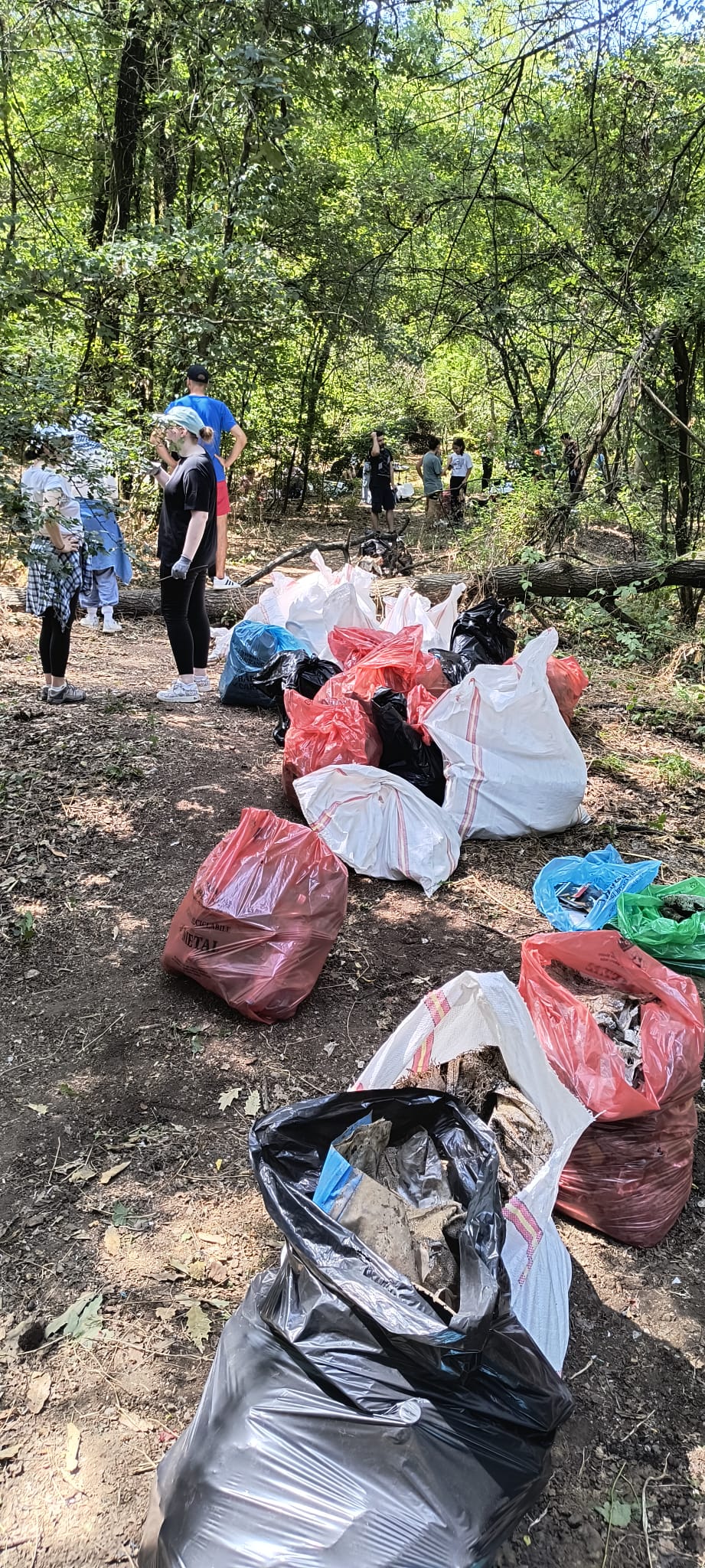 Sacii cu deșeuri colectați în Curățăm Pădurea – Episodul 2