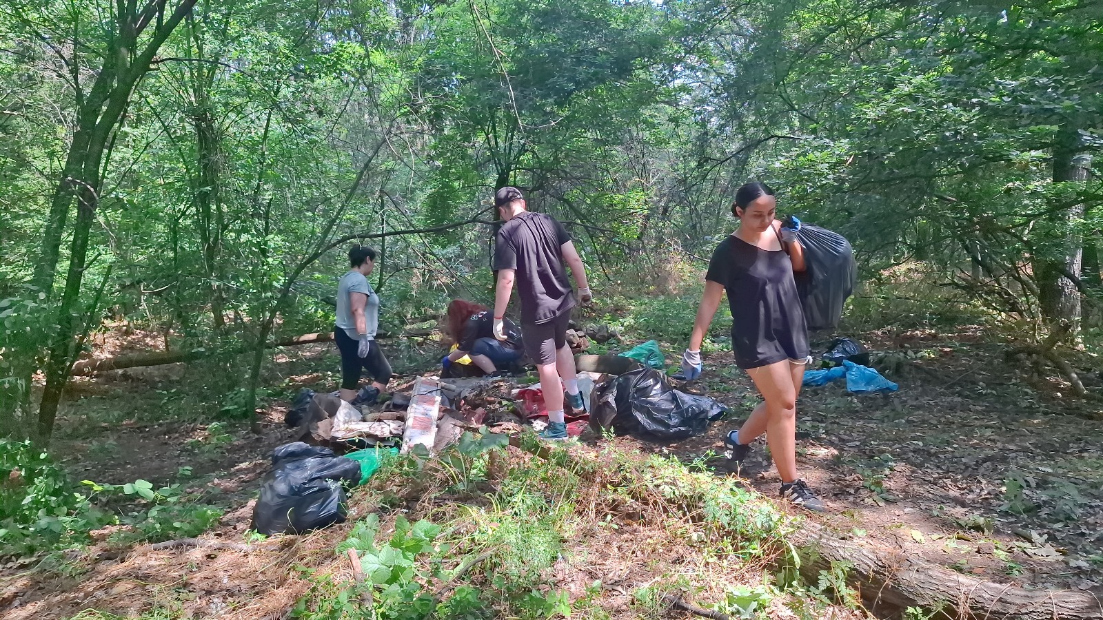 Voluntari lucrând printre deșeurile din pădure