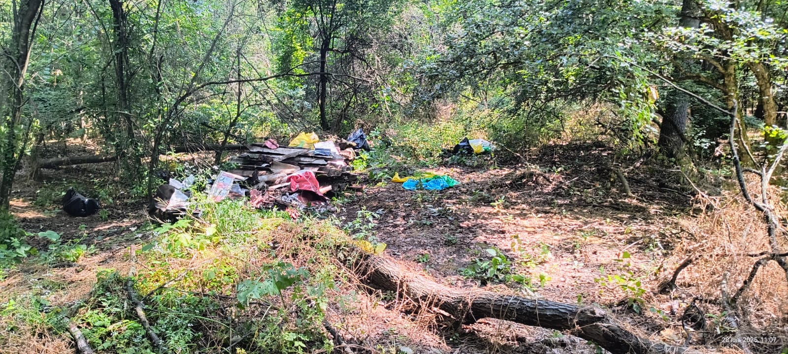 Deșeuri abandonate în pădure înainte de curățare