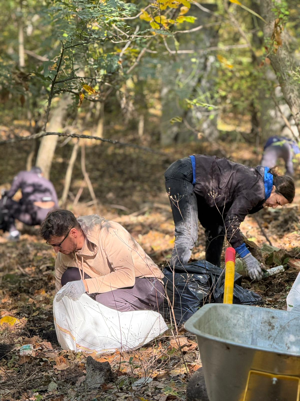 Voluntari lucrând împreună în pădure