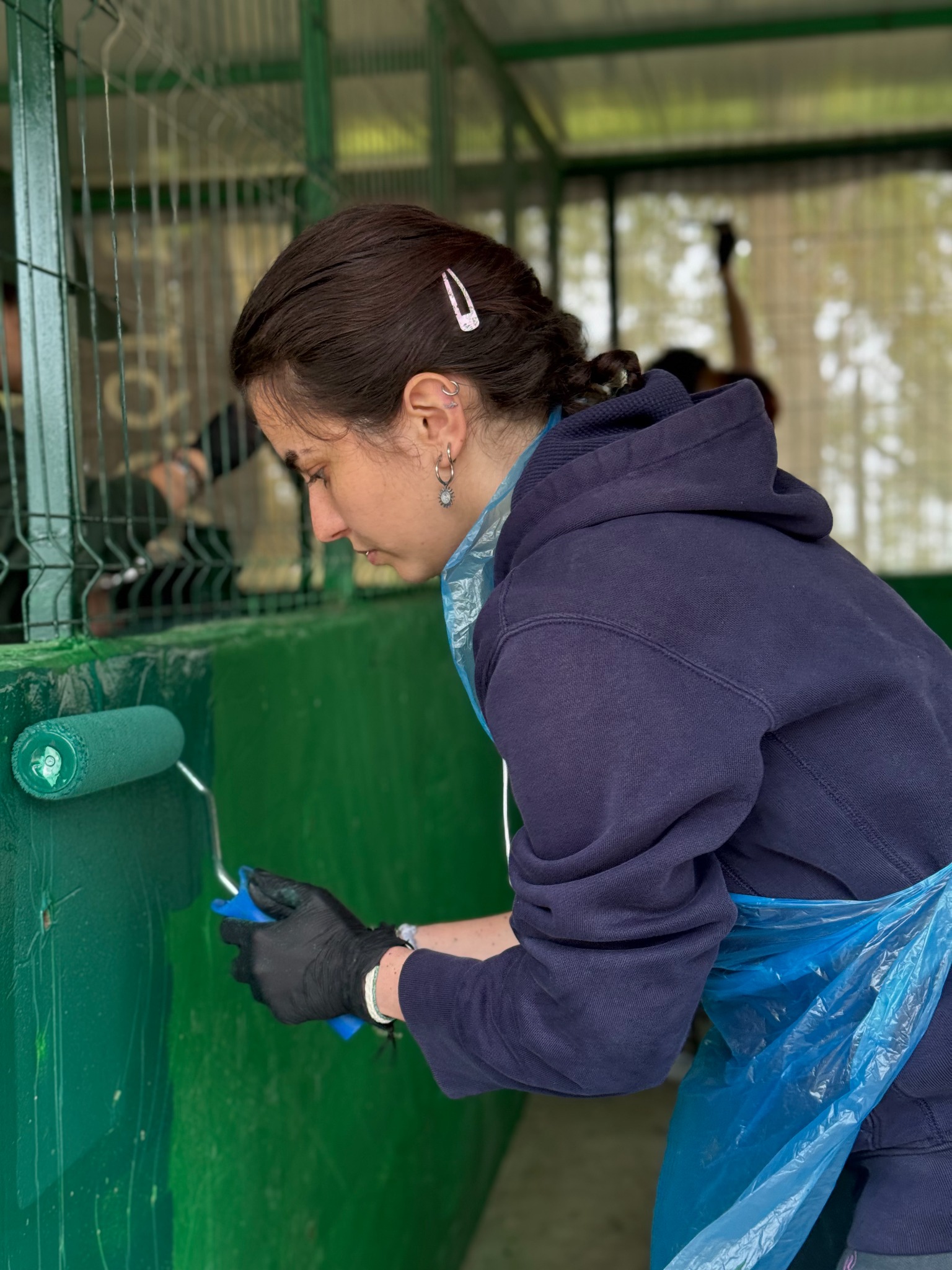 Voluntară vopsind gardul unui padoc