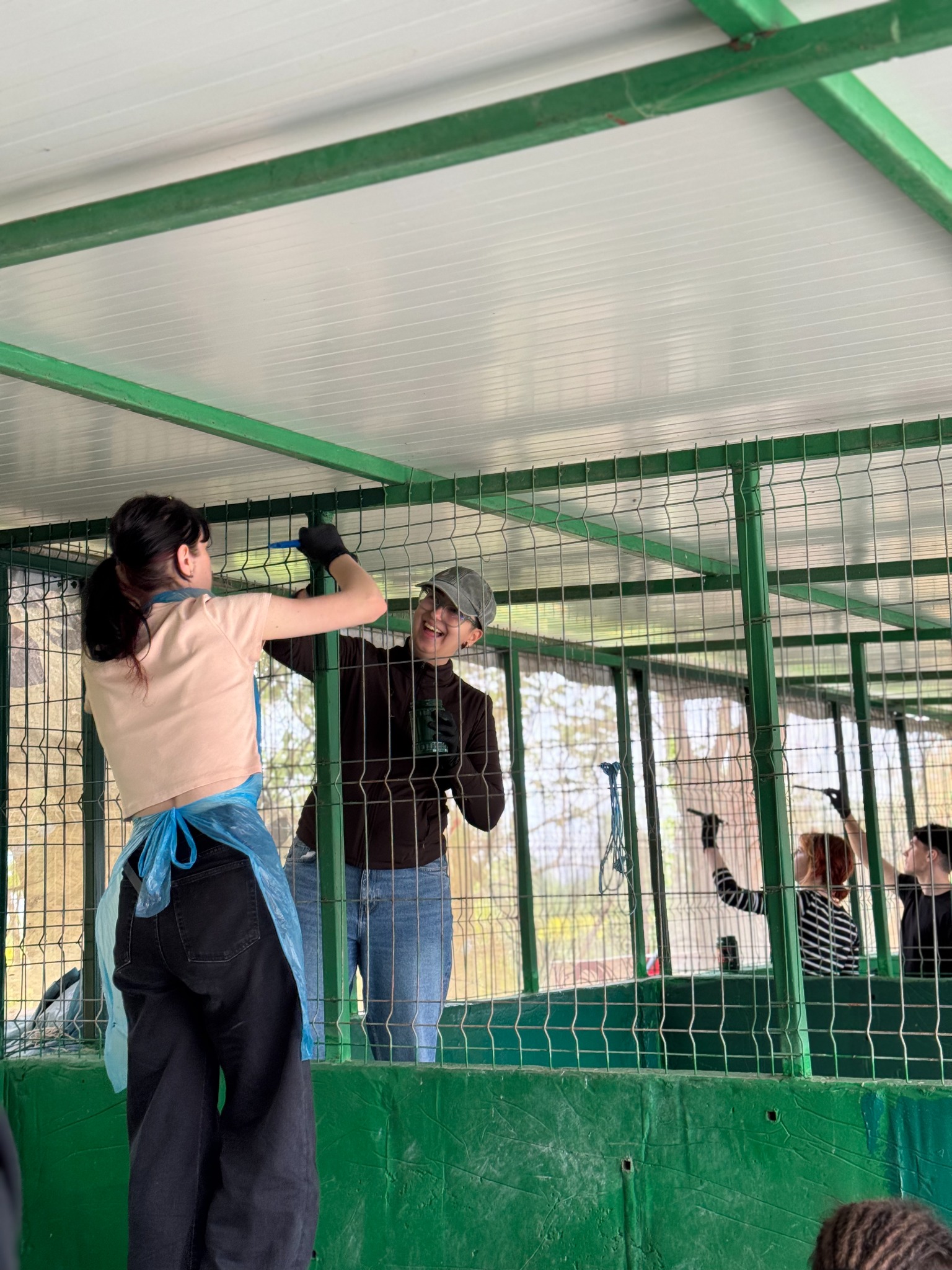 Voluntari lucrând împreună la padocuri