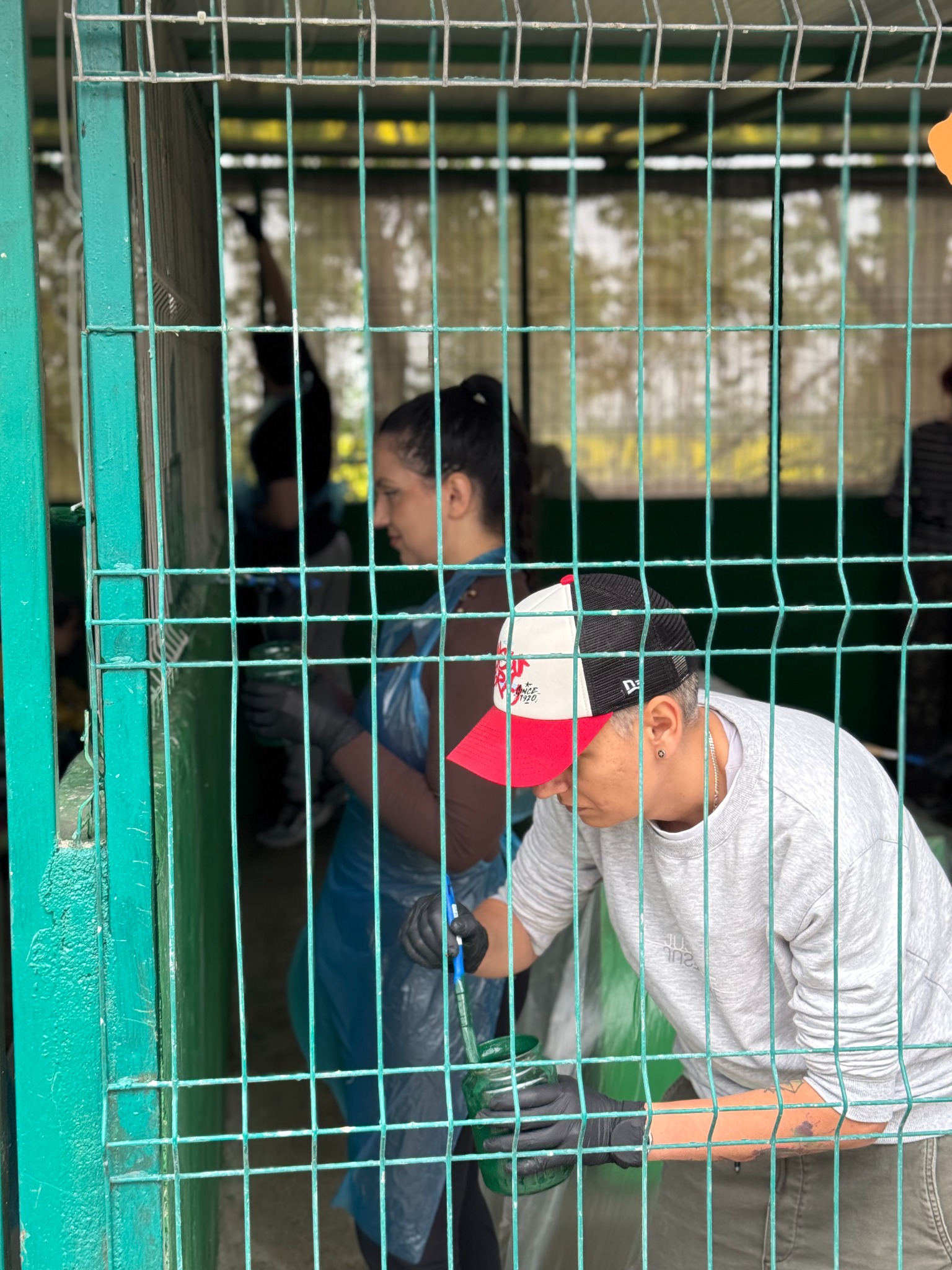Două voluntare lucrând împreună