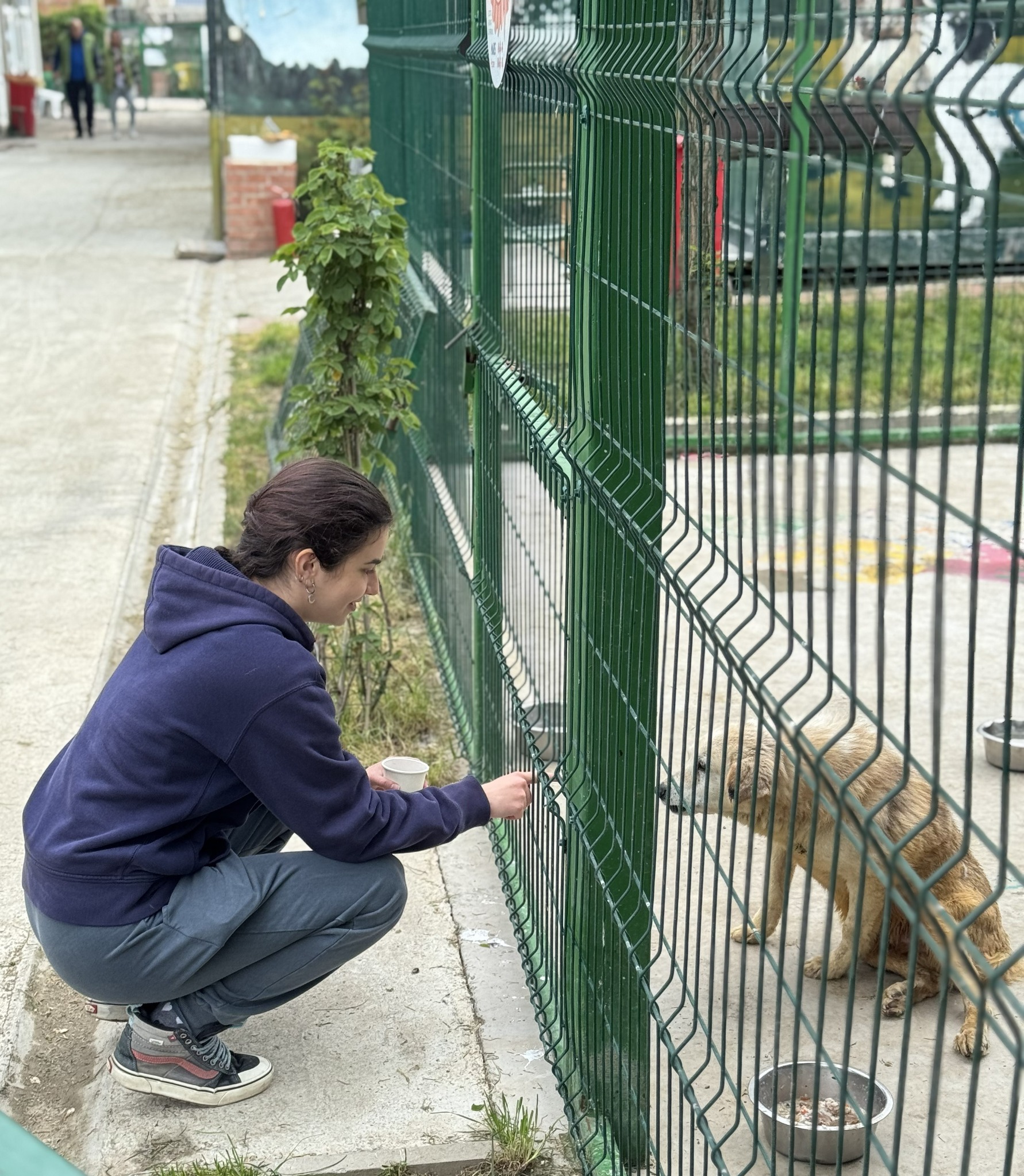 Voluntară interacționând cu un câine prin gard