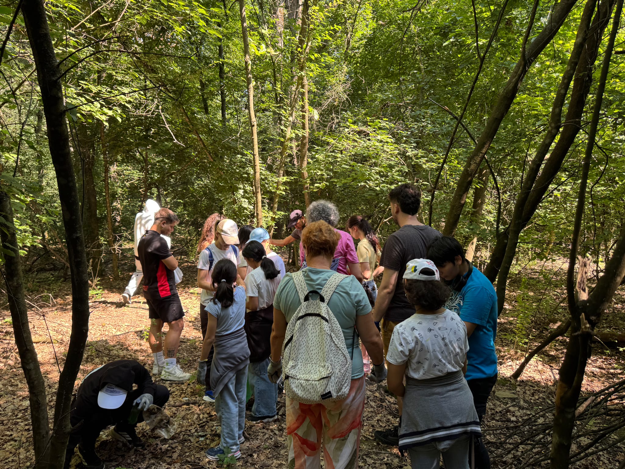 Voluntarii adunați în pădure în timpul Episodului 4
