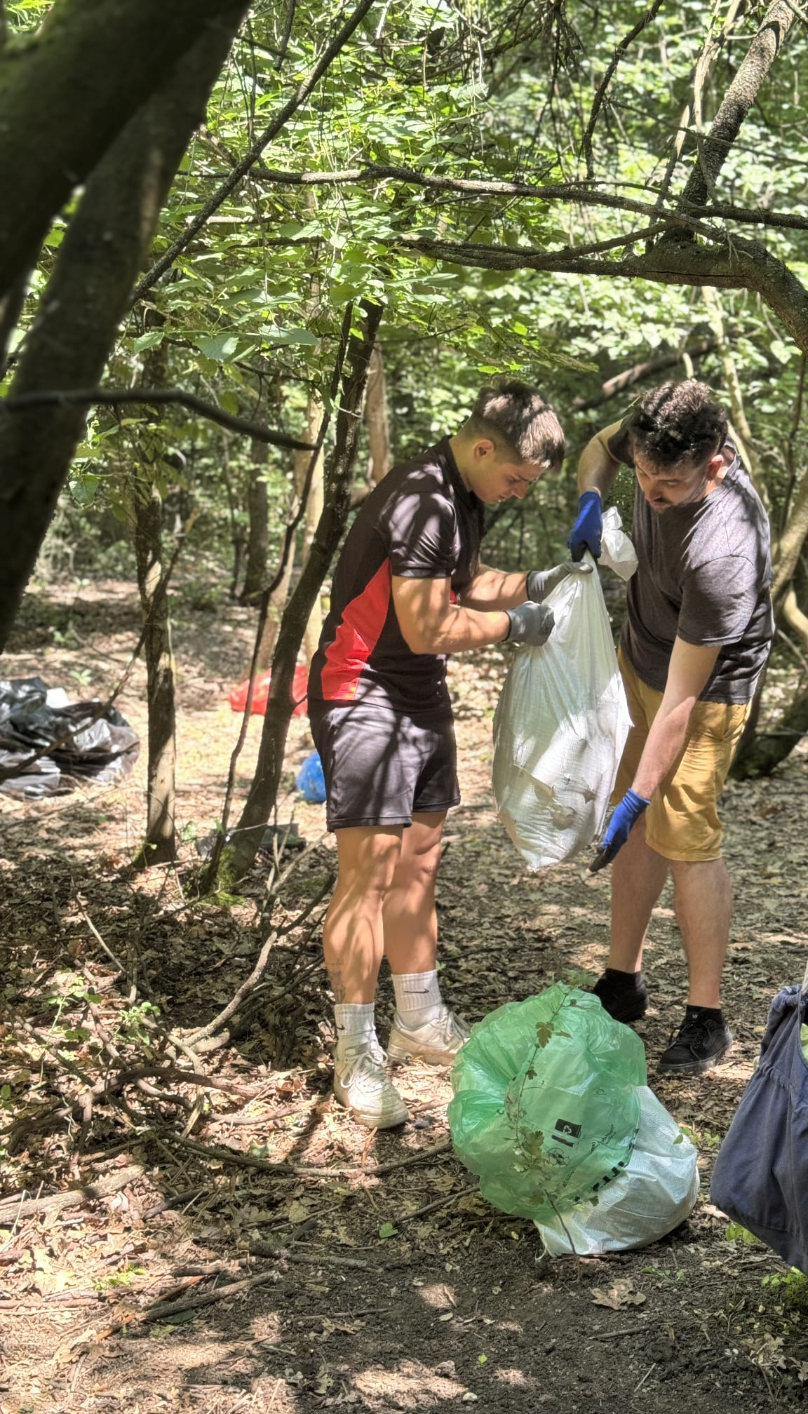 Voluntari lucrând împreună la colectarea deșeurilor