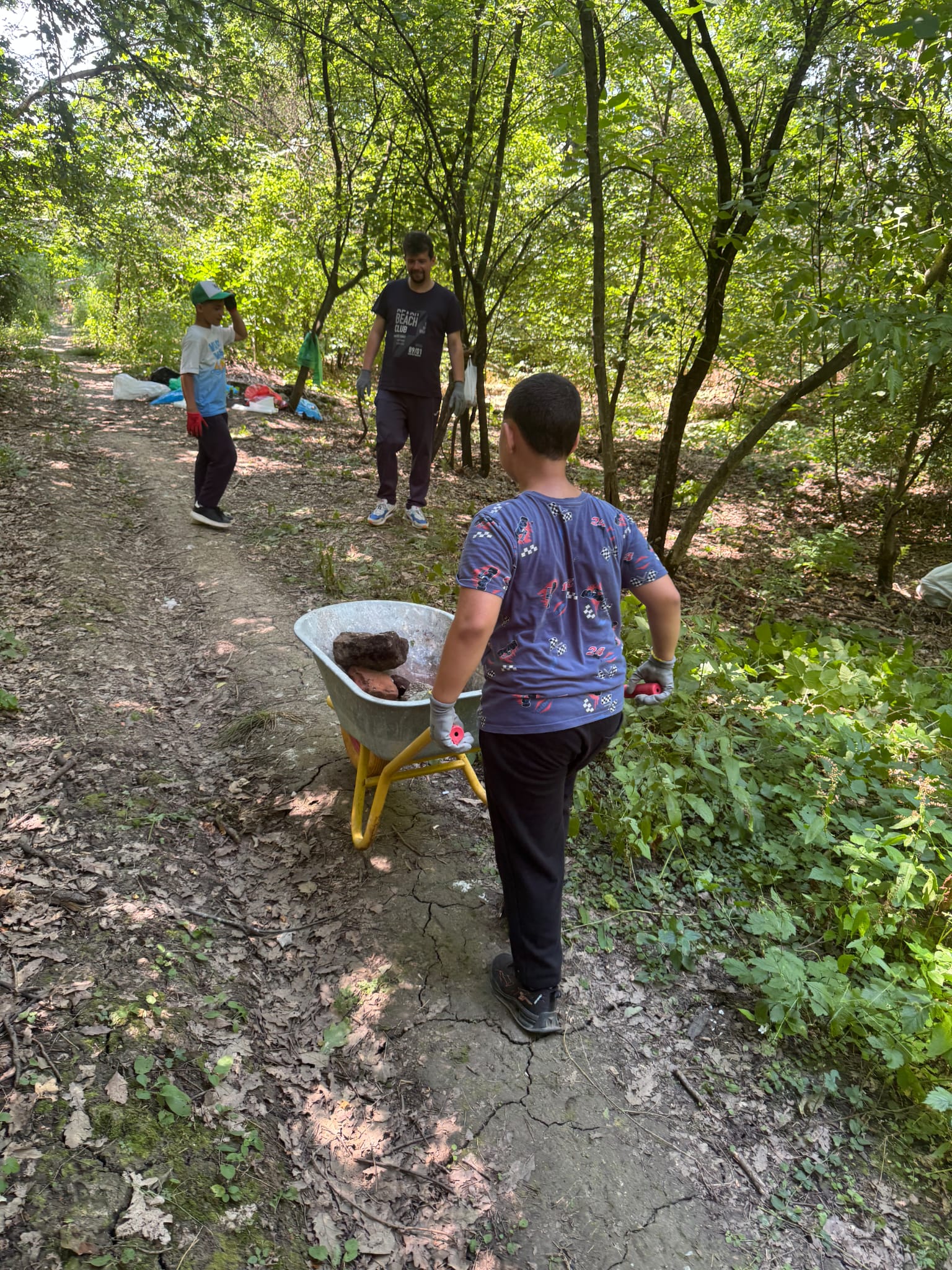 Copil împingând o roabă cu materiale colectate în pădure