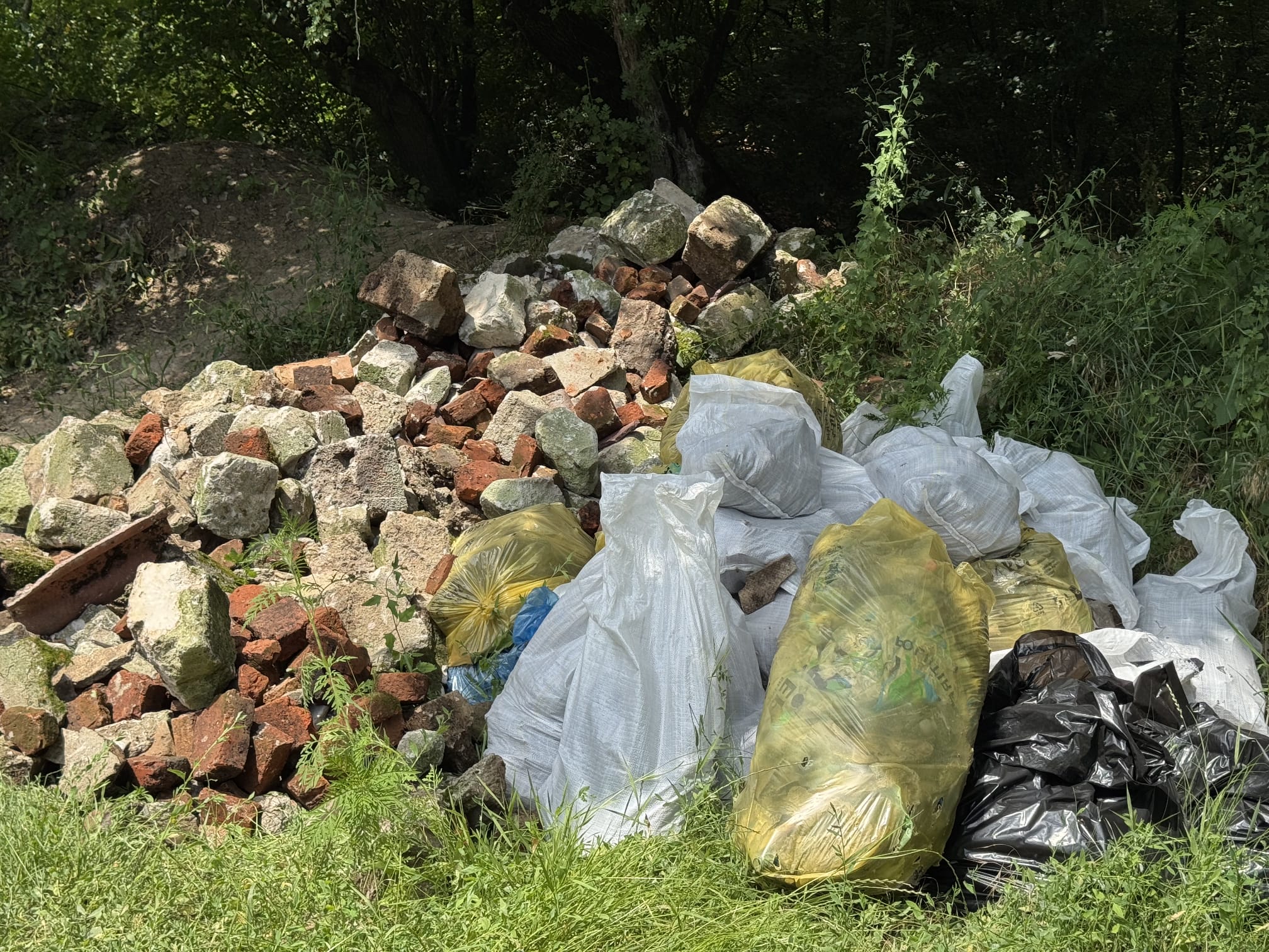 Moloz, cărămizi și saci cu deșeuri colectate din pădure