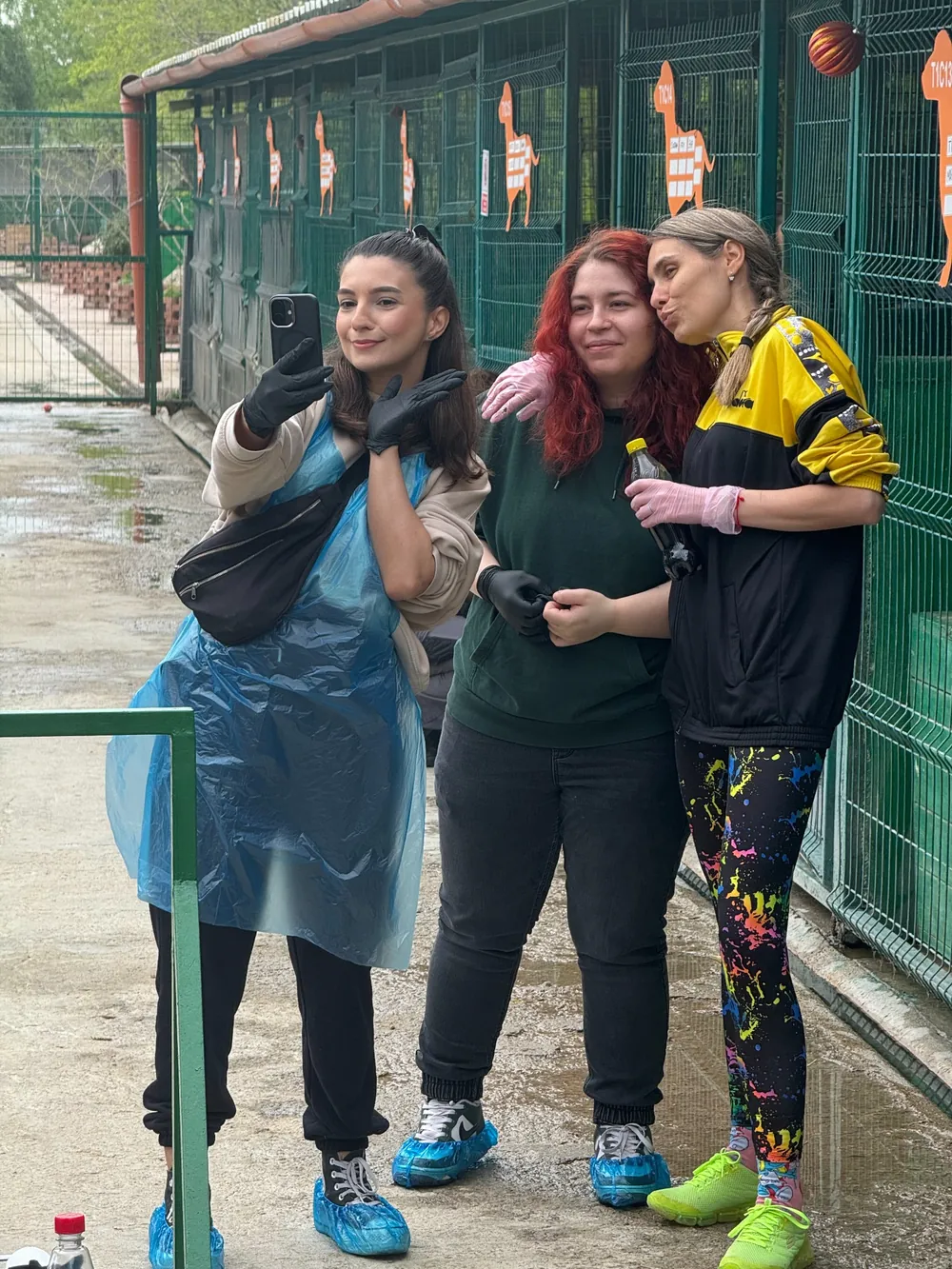 Voluntari în proiectul Ziua cu Animale